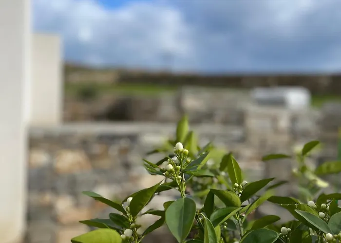 Nyaraló Gaia House *